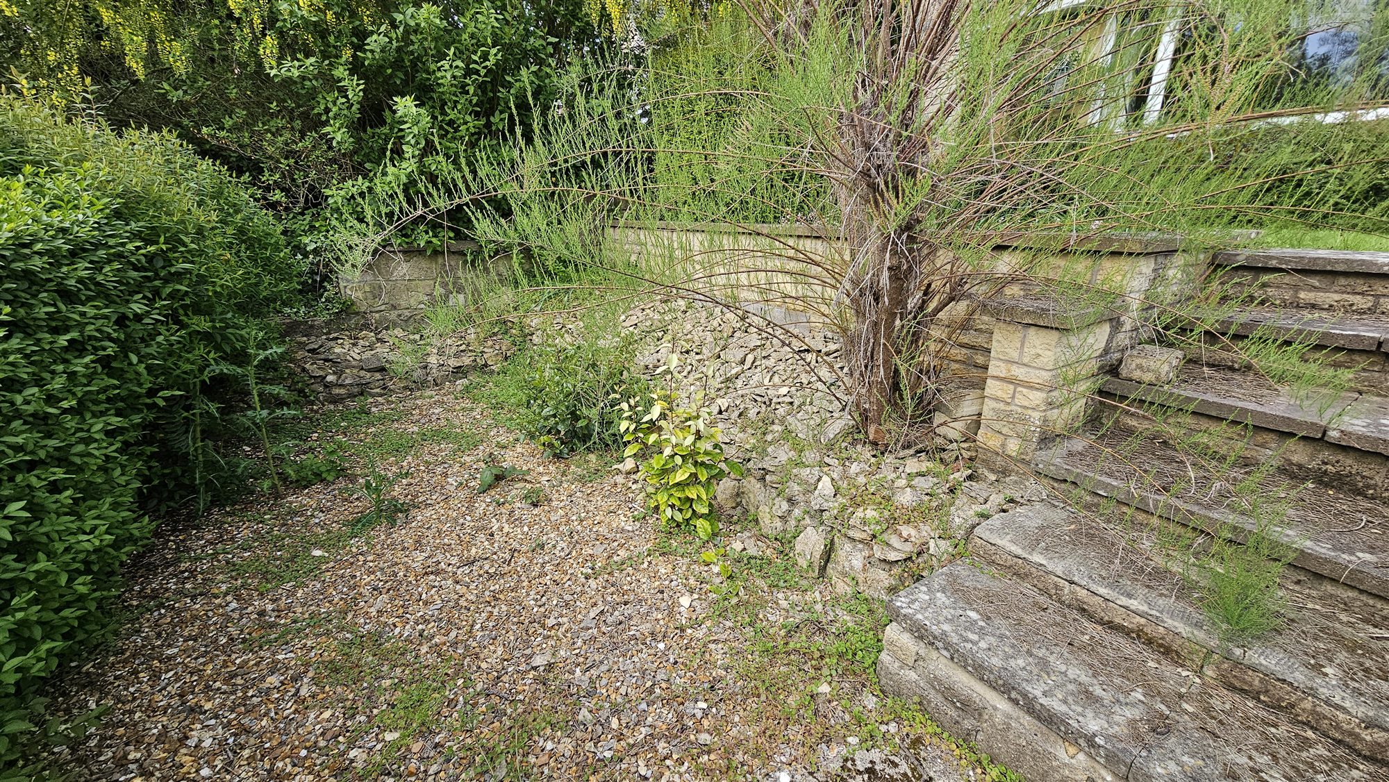 Overgrown gravel and steps before garden work